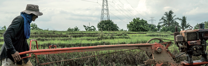 How State Support, Agritech Solutions Enhance PH Food Security amid COVID-19
