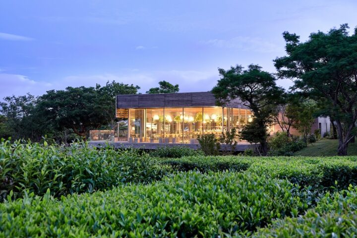Innisfree Lists Green Tea Farms in Korea’s Jeju Island on Airbnb