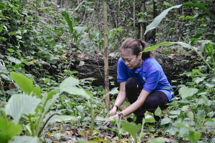 Chevron Kick-starts 2022 Volunteer Week with Tree Planting Activity at La Mesa Nature Reserve