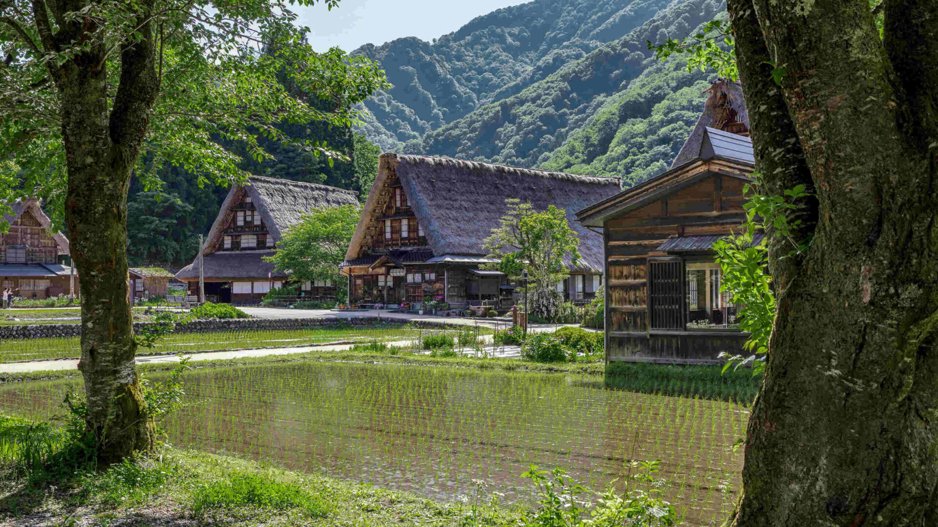 Rediscover Japan from a Historic Gassho Home in World Heritage Site Gokayama, Now on Airbnb