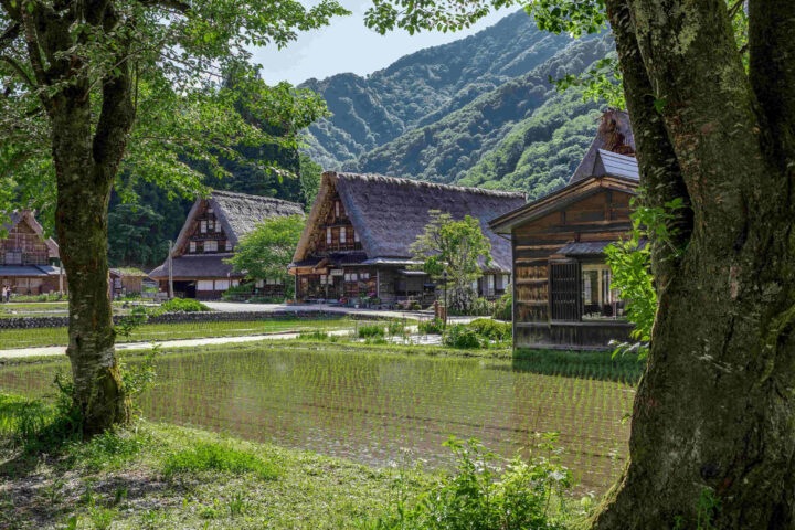 Rediscover Japan from a Historic Gassho Home in World Heritage Site Gokayama, Now on Airbnb