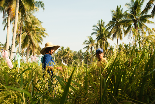 Through Typhoons and Floods: The Bayanihan Spirit Between Filipino Farmers and Monash University