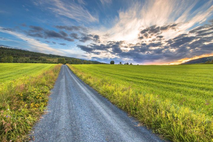 The PRemise: Intentionality Defines the Way Forward